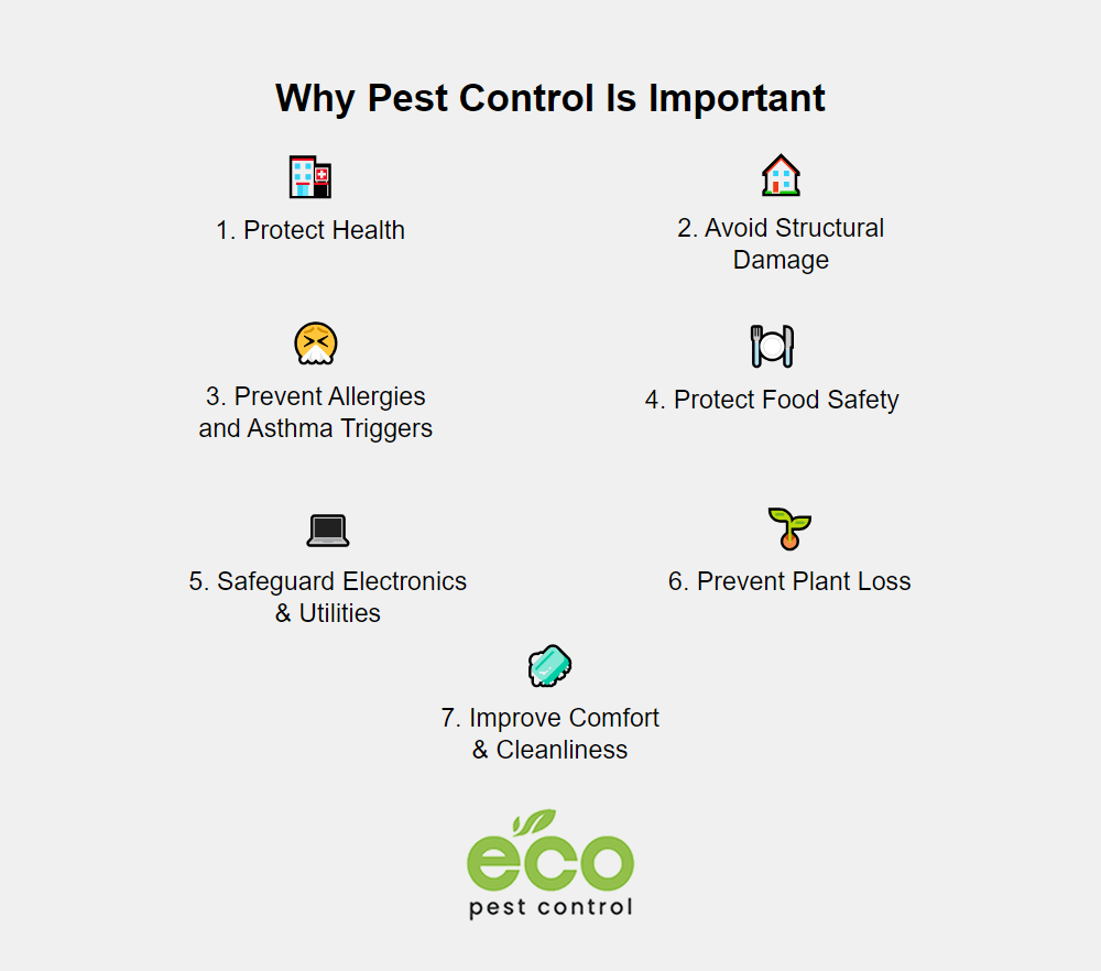 Importance Of Pest Control