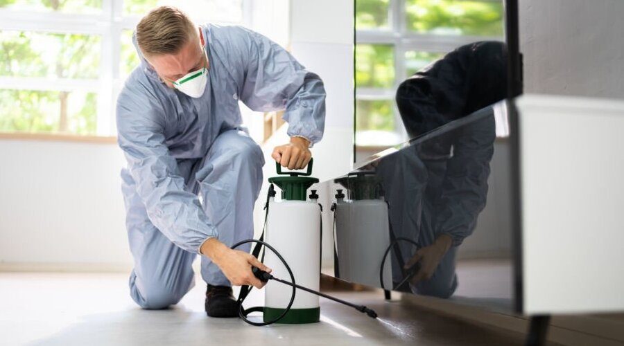 How Often Do You Need Pest Control?