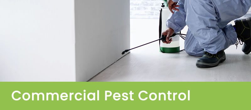 Commercial Pest Control Perth