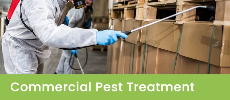 Commercial Pest Control Specialists