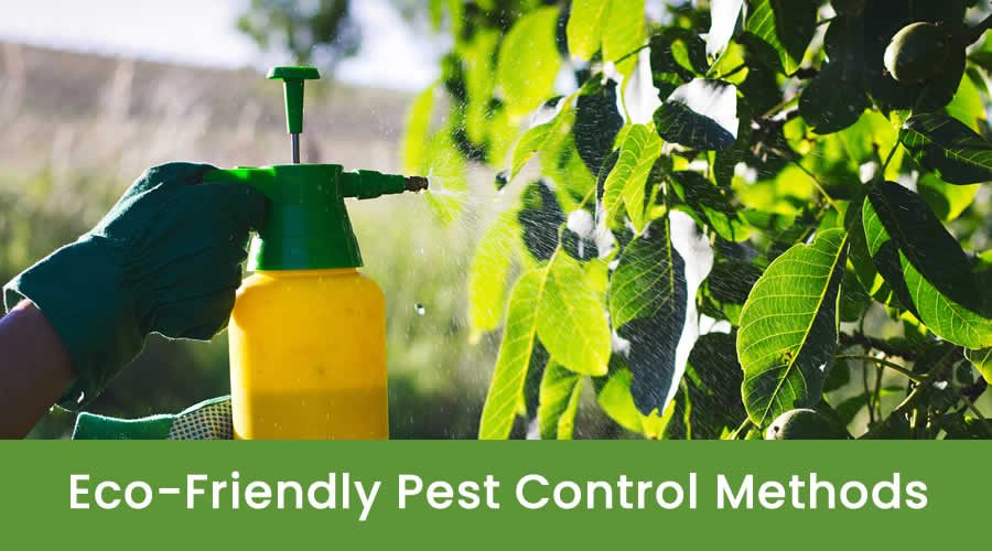 Eco-Friendly Pest Control Methods